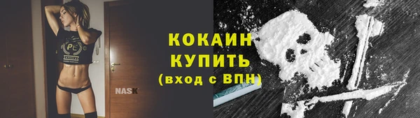 apvp Горно-Алтайск