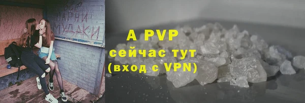 apvp Горно-Алтайск