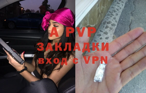 apvp Каменка