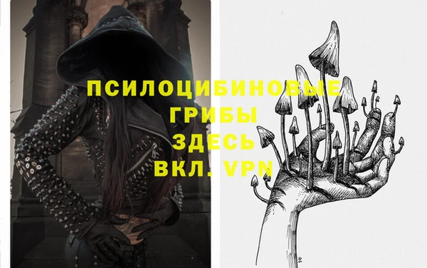 не бодяженный Горнозаводск