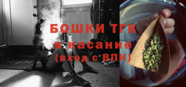 ECSTASY Чекалин