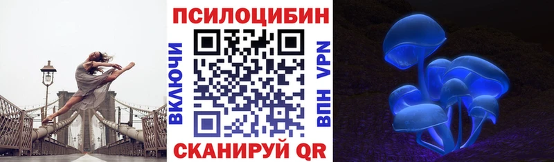 Псилоцибиновые грибы Cubensis  Княгинино 